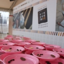 foto-evento-cto13_22nov-12