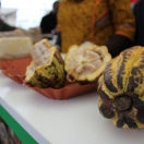 foto-evento-cto13_22nov-80